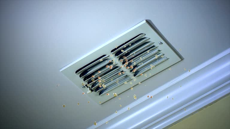 Best Local Air Duct Cleaning Services  in Keego Harbor, MI
